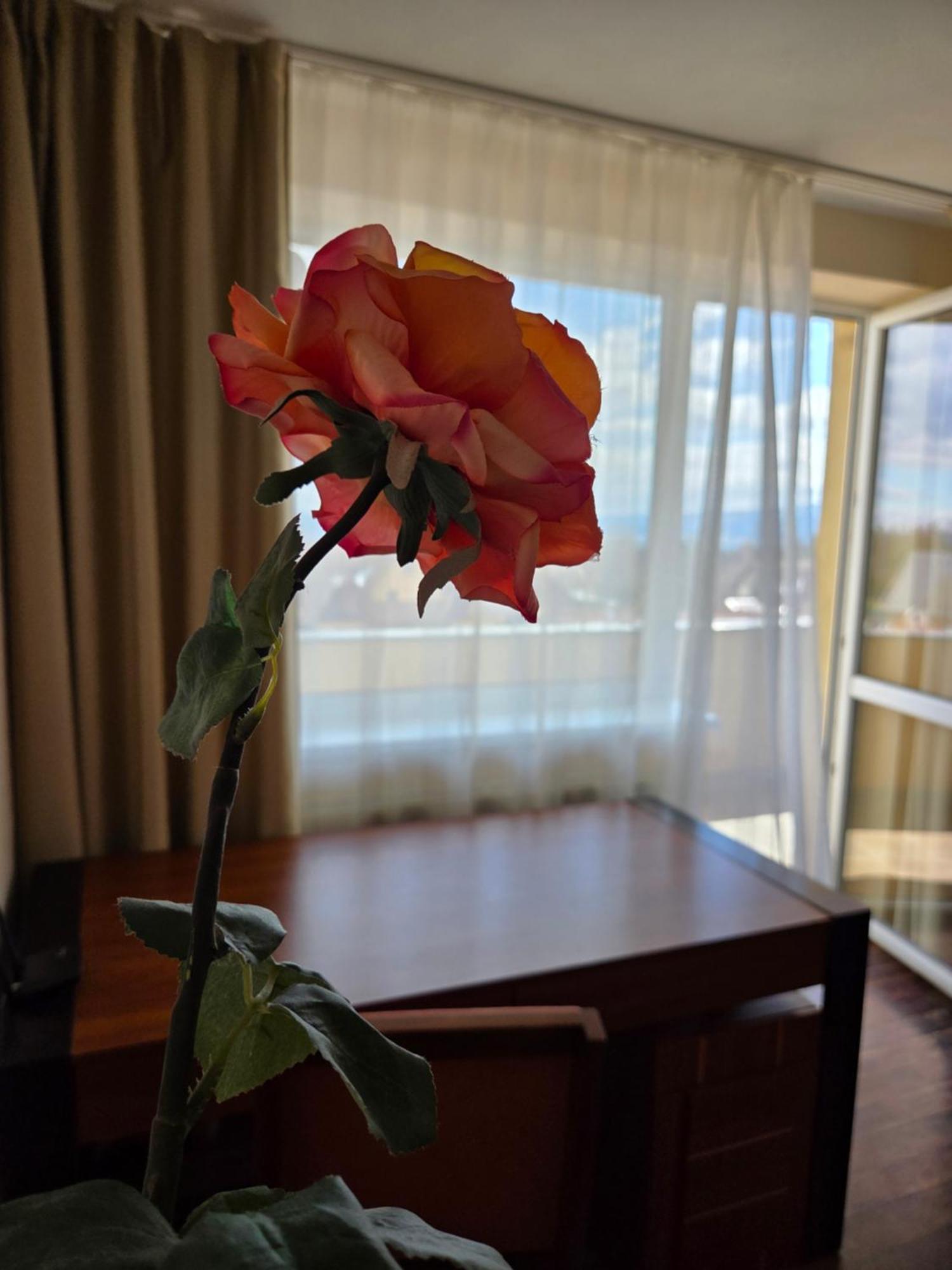 Apartment High Tatras Wielki Sławków Zewnętrze zdjęcie